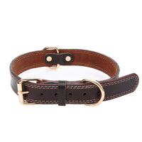 HKM-2339261 Cowhide Leather Dog Collar in Coffee Color with Size Options XS, S, M, L