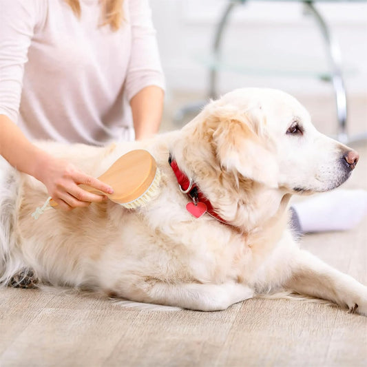 HKM-2340541 Pet Grooming Shower Brush with Wooden Handle and Natural Bristles for Dogs and Cats