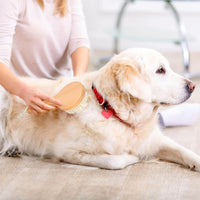 HKM-2340541 Pet Grooming Shower Brush with Wooden Handle and Natural Bristles for Dogs and Cats