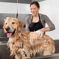 HKM-2340541 Pet Grooming Shower Brush with Wooden Handle and Natural Bristles for Dogs and Cats
