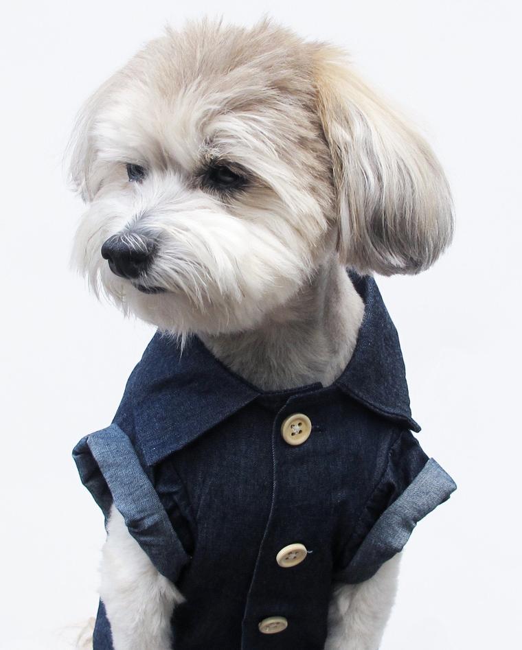 HKM-2341437 Summer Printed Cotton Shirts for Small Dogs - Green Leaf, Banana, Denim - Multiple Sizes Available