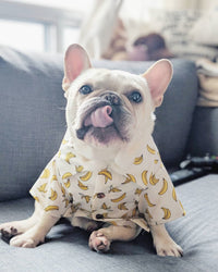 HKM-2341437 Summer Printed Cotton Shirts for Small Dogs - Green Leaf, Banana, Denim - Multiple Sizes Available