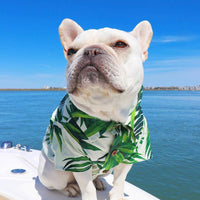 HKM-2341437 Summer Printed Cotton Shirts for Small Dogs - Green Leaf, Banana, Denim - Multiple Sizes Available