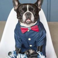HKM-2341437 Summer Printed Cotton Shirts for Small Dogs - Green Leaf, Banana, Denim - Multiple Sizes Available