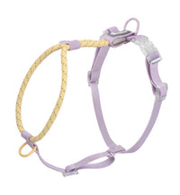 HKM-2342845 Solid Color PVC Dog Leash with Hand Holding Rope in Dark Red, Purple, Yellow, and Taoyao Green