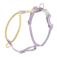 HKM-2342845 Solid Color PVC Dog Leash with Hand Holding Rope in Dark Red, Purple, Yellow, and Taoyao Green