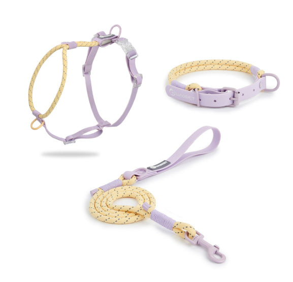 HKM-2342845 Solid Color PVC Dog Leash with Hand Holding Rope in Dark Red, Purple, Yellow, and Taoyao Green