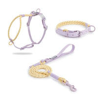 HKM-2342845 Solid Color PVC Dog Leash with Hand Holding Rope in Dark Red, Purple, Yellow, and Taoyao Green