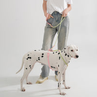 HKM-2342845 Solid Color PVC Dog Leash with Hand Holding Rope in Dark Red, Purple, Yellow, and Taoyao Green