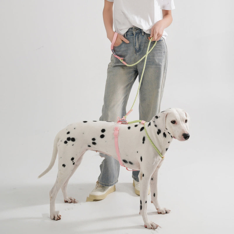 HKM-2342845 Solid Color PVC Dog Leash with Hand Holding Rope in Dark Red, Purple, Yellow, and Taoyao Green