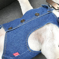 HKM-2351165 Denim Vest for Small Pets - Casual Style Clothing for Puppies and Kittens, Available in Multiple Sizes
