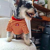 HKM-2353341 Warm Striped Pet Clothing in Red and Blue - Sizes S, M, L, XL, Made from Polyester