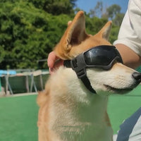HKM-2356157 UV Protective Goggles for Pets - Adjustable Windproof and Sunproof Eyewear in Red, Black, and Pink