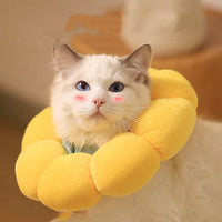 HKM-2356541 Soft Cotton Anti-Licking Headgear Collar in Various Colors and Sizes for Pets
