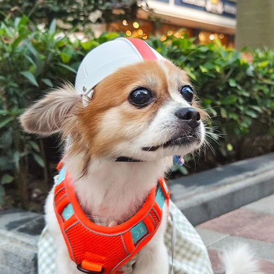 HKM-235923 Pet Ride Motorcycle Safety Helmet - Four Seasons, Available in White, Orange, Black & Yellow, Sizes S & M, ABS Material