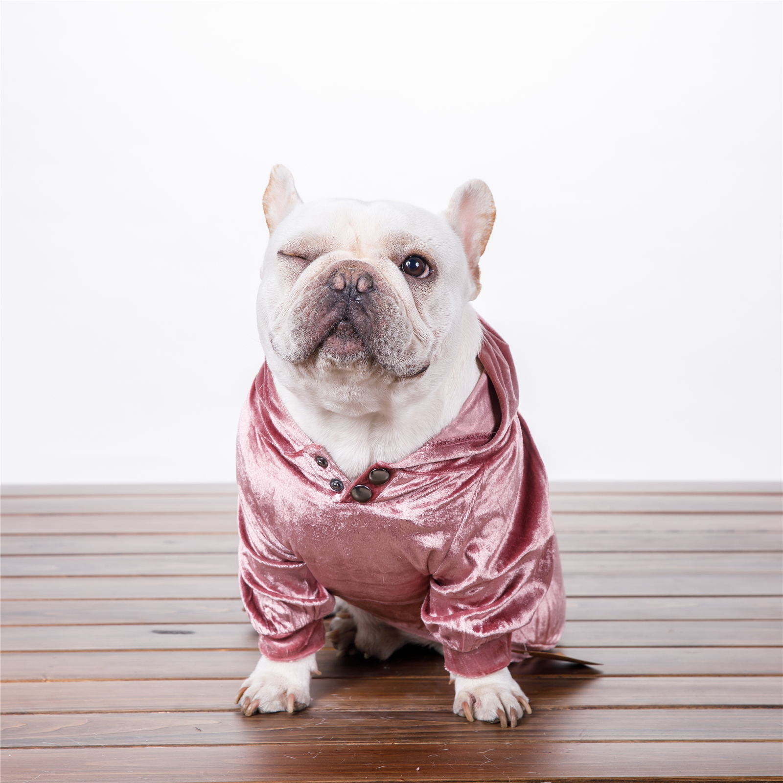 HKM-2359613 Dense Velvet Hooded Sweater for Dogs - Cozy Casual Apparel in Red, Pink, Gray - Sizes XS to XXL