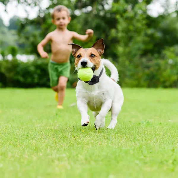 HKM-2359997 Wireless Electric Dog Fence System with Adjustable Shock Collar for Small to Large Dogs