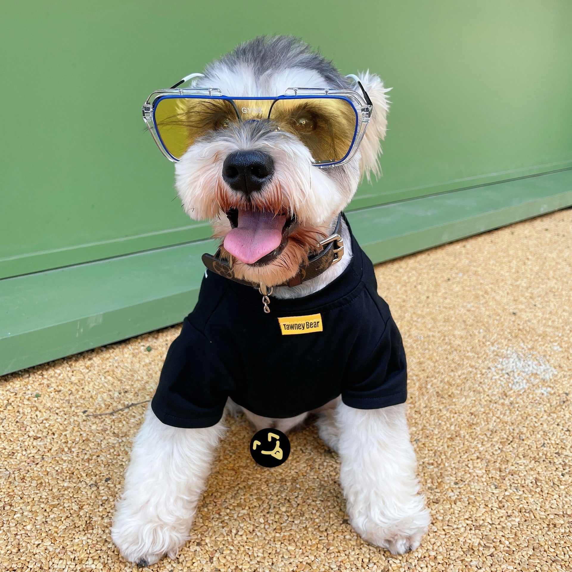 HKM-2362685 Breathable Cotton T-Shirt for Pets - Casual Black and White Design