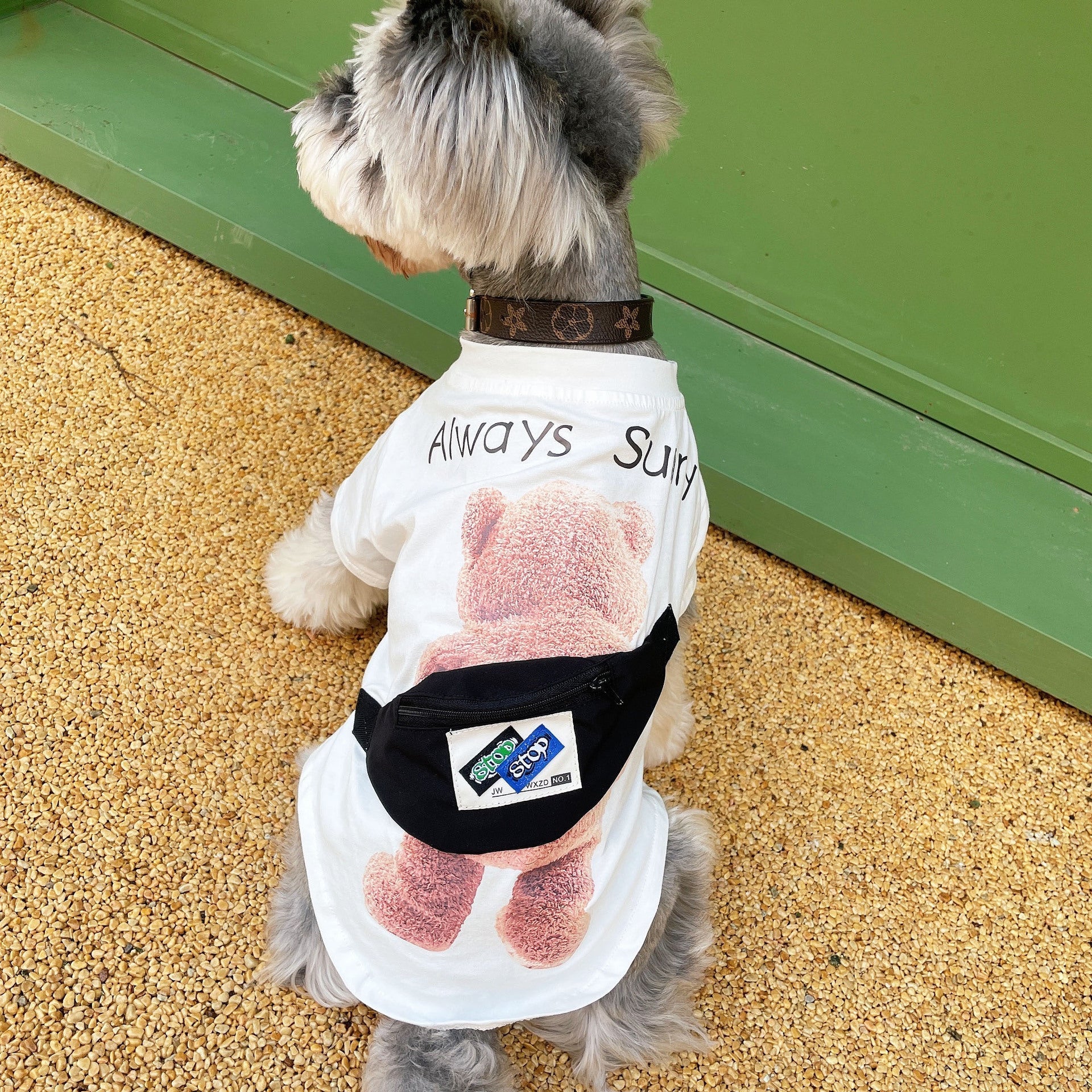 HKM-2362685 Breathable Cotton T-Shirt for Pets - Casual Black and White Design
