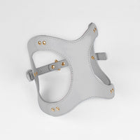 HKM-2363581 Dog and Cat Leather Vest Leash with Adjustable Chest Straps and Traction Rope