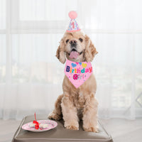 HKM-2367549 Dog Birthday Party Supplies - Fun Birthday Hat with Numbers and Bandana for Puppies