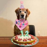 HKM-2367549 Dog Birthday Party Supplies - Fun Birthday Hat with Numbers and Bandana for Puppies