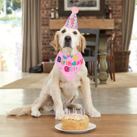 HKM-2367549 Dog Birthday Party Supplies - Fun Birthday Hat with Numbers and Bandana for Puppies
