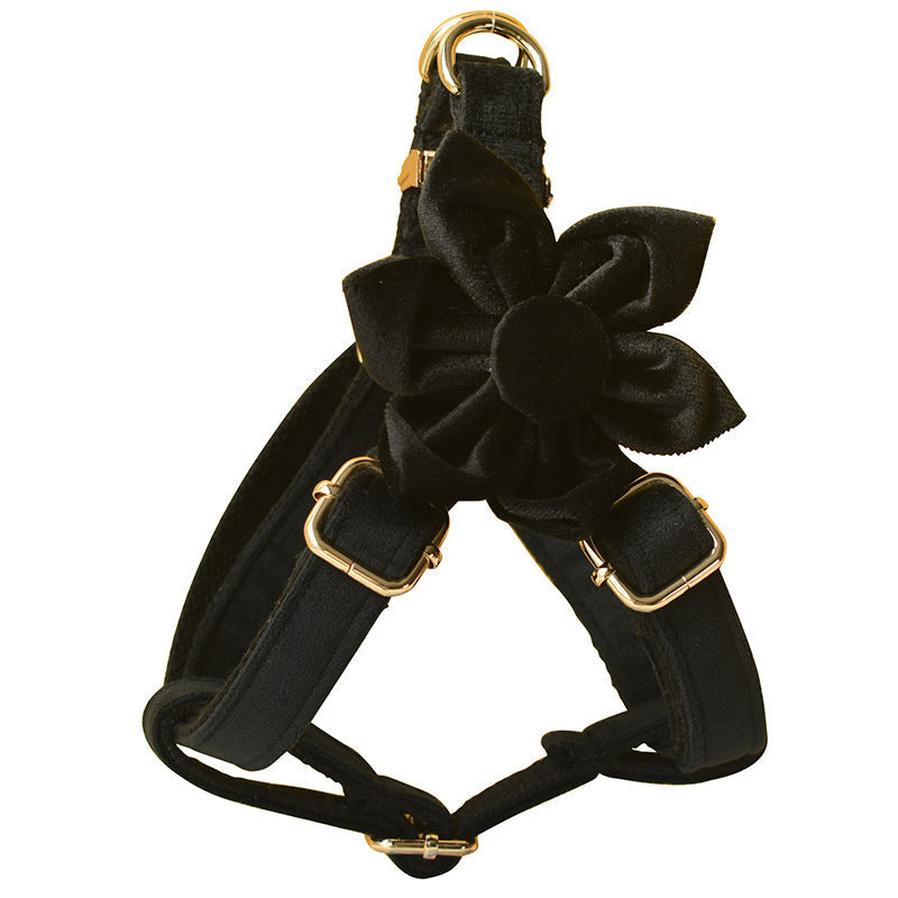 HKM-236947 Black Flannel Dog Harness with Gold Buckle - Adjustable Polyester Pet Chest Strap for Sizing Options S to XL