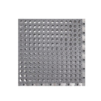HKM-2371517 Extra-Thick Pet Foot Pad with Mesh Design to Prevent Paw Sticking