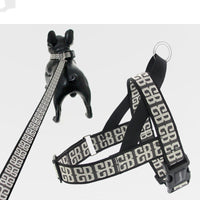 HKM-2375613 Durable Nylon Dog Rope with Collar and Chest Strap for Small to Medium Breeds
