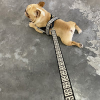 HKM-2375613 Durable Nylon Dog Rope with Collar and Chest Strap for Small to Medium Breeds