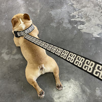 HKM-2375613 Durable Nylon Dog Rope with Collar and Chest Strap for Small to Medium Breeds