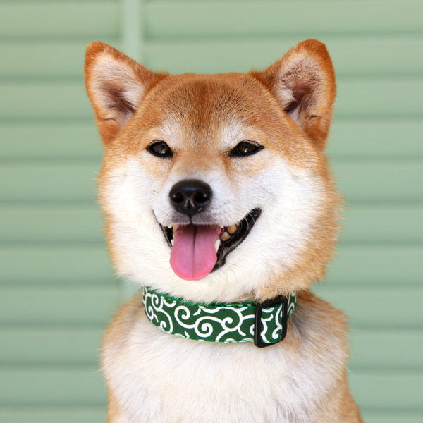 HKM-2377789 Tang Grass Pattern Dog Collar in Multiple Color Options and Sizes