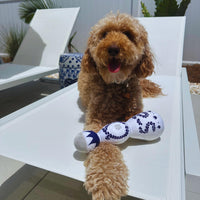 HKM-2379069 Tequila Bottle Plush Dog Toy with Squeaker - Fun and Soft for All Dog Sizes