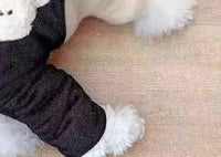 HKM-2380221 Cozy Cotton-Padded Dog Coat with Fleece Lining for Four-Legged Friends