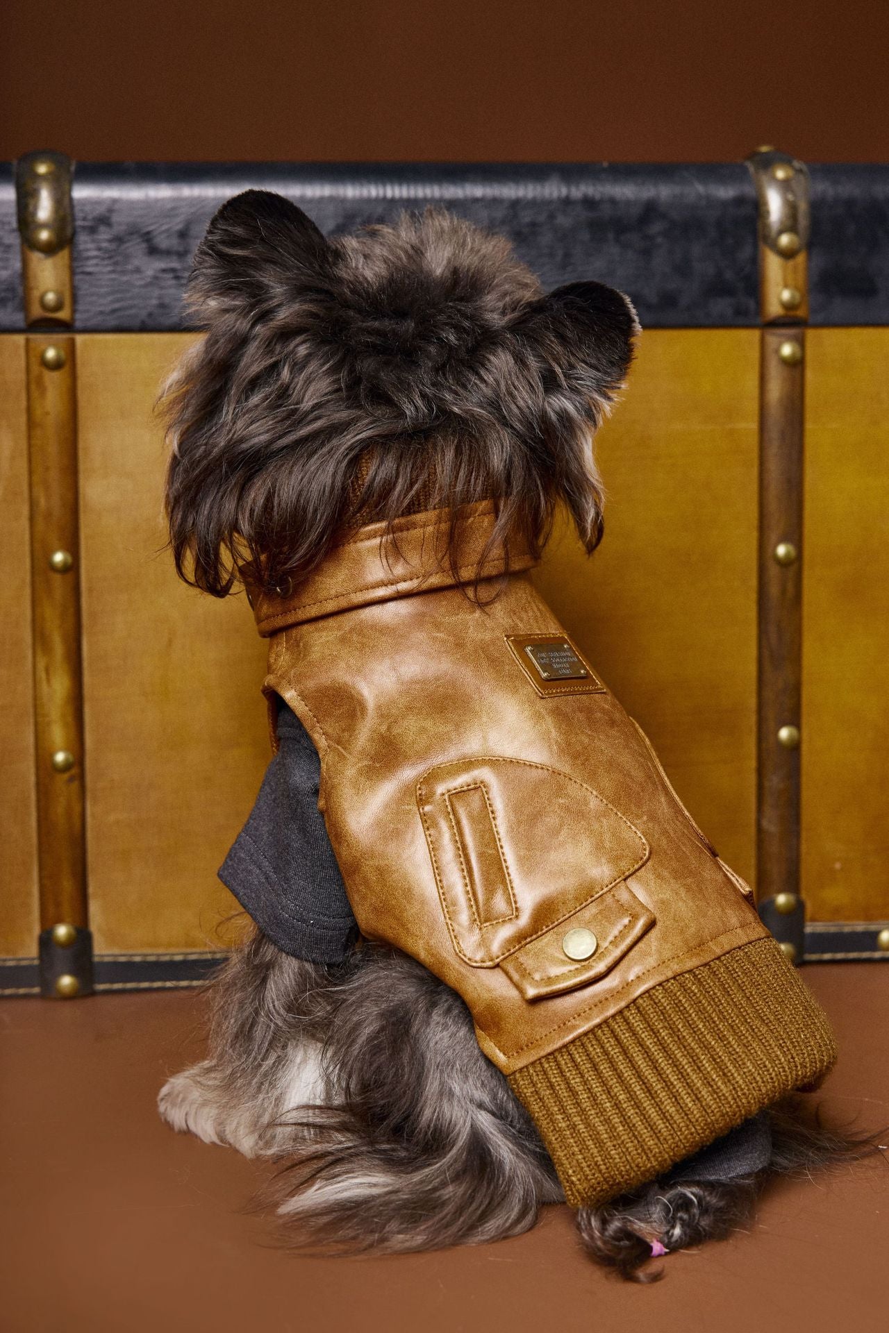 HKM-2380349 Schnauzer Teddy Bichon Retro Sleeveless Leather Vest for Pets - Size XS to XXL
