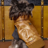 HKM-2380349 Schnauzer Teddy Bichon Retro Sleeveless Leather Vest for Pets - Size XS to XXL