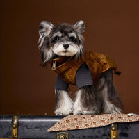 HKM-2380349 Schnauzer Teddy Bichon Retro Sleeveless Leather Vest for Pets - Size XS to XXL