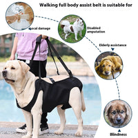 HKM-2380861 Oxford Cloth Dog Travel Auxiliary Strap - Durable Pet Chain Ring in Black