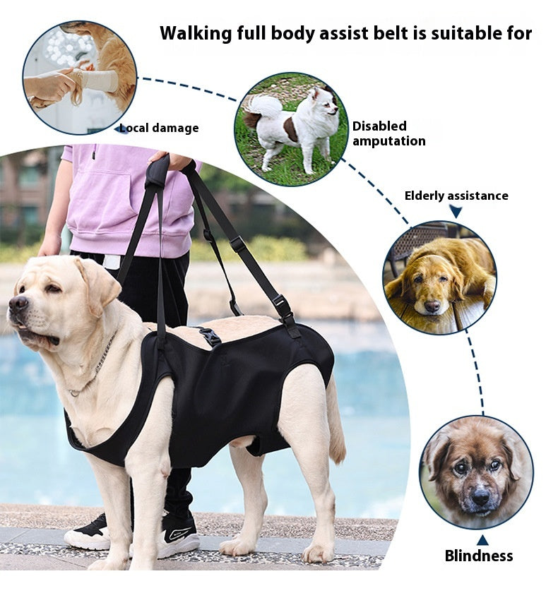 HKM-2380861 Oxford Cloth Dog Travel Auxiliary Strap - Durable Pet Chain Ring in Black