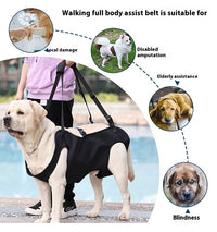 HKM-2380861 Oxford Cloth Dog Travel Auxiliary Strap - Durable Pet Chain Ring in Black