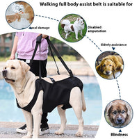 HKM-2380861 Oxford Cloth Dog Travel Auxiliary Strap - Durable Pet Chain Ring in Black