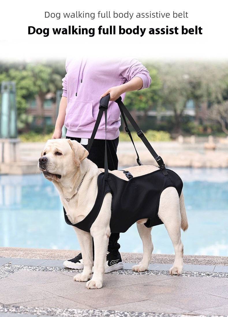 HKM-2380861 Oxford Cloth Dog Travel Auxiliary Strap - Durable Pet Chain Ring in Black