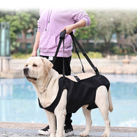 HKM-2380861 Oxford Cloth Dog Travel Auxiliary Strap - Durable Pet Chain Ring in Black