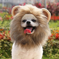 HKM-2386365 Pet Lion Mane Hat for Cats and Small Dogs - Funny Costume for Halloween and Festivals