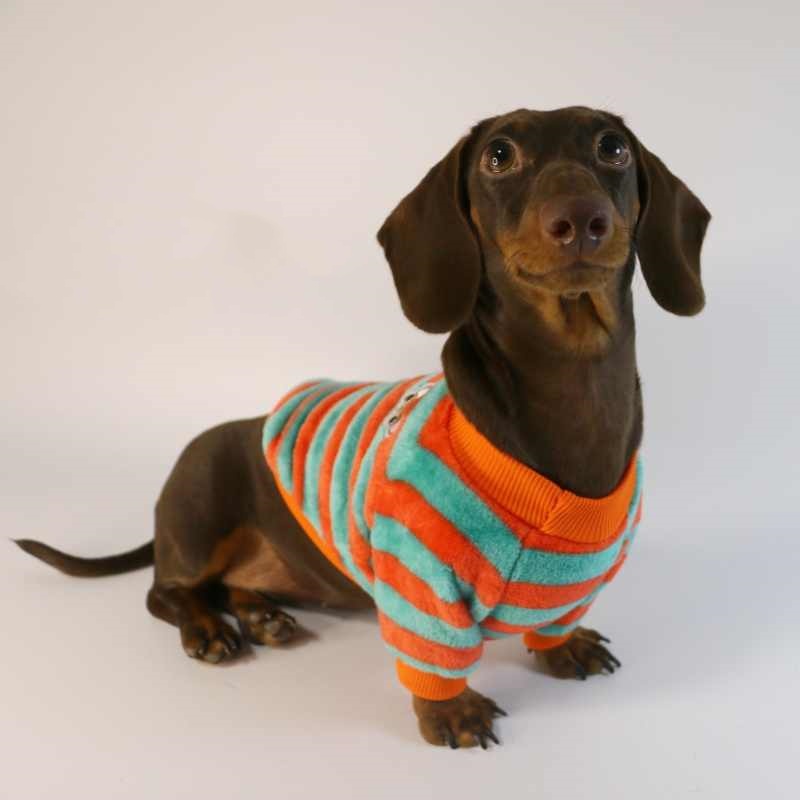 HKM-2386621 Casual Round Neck Sweatshirt for Pets - Warm Orange Red and White Stripes or Green Stripe