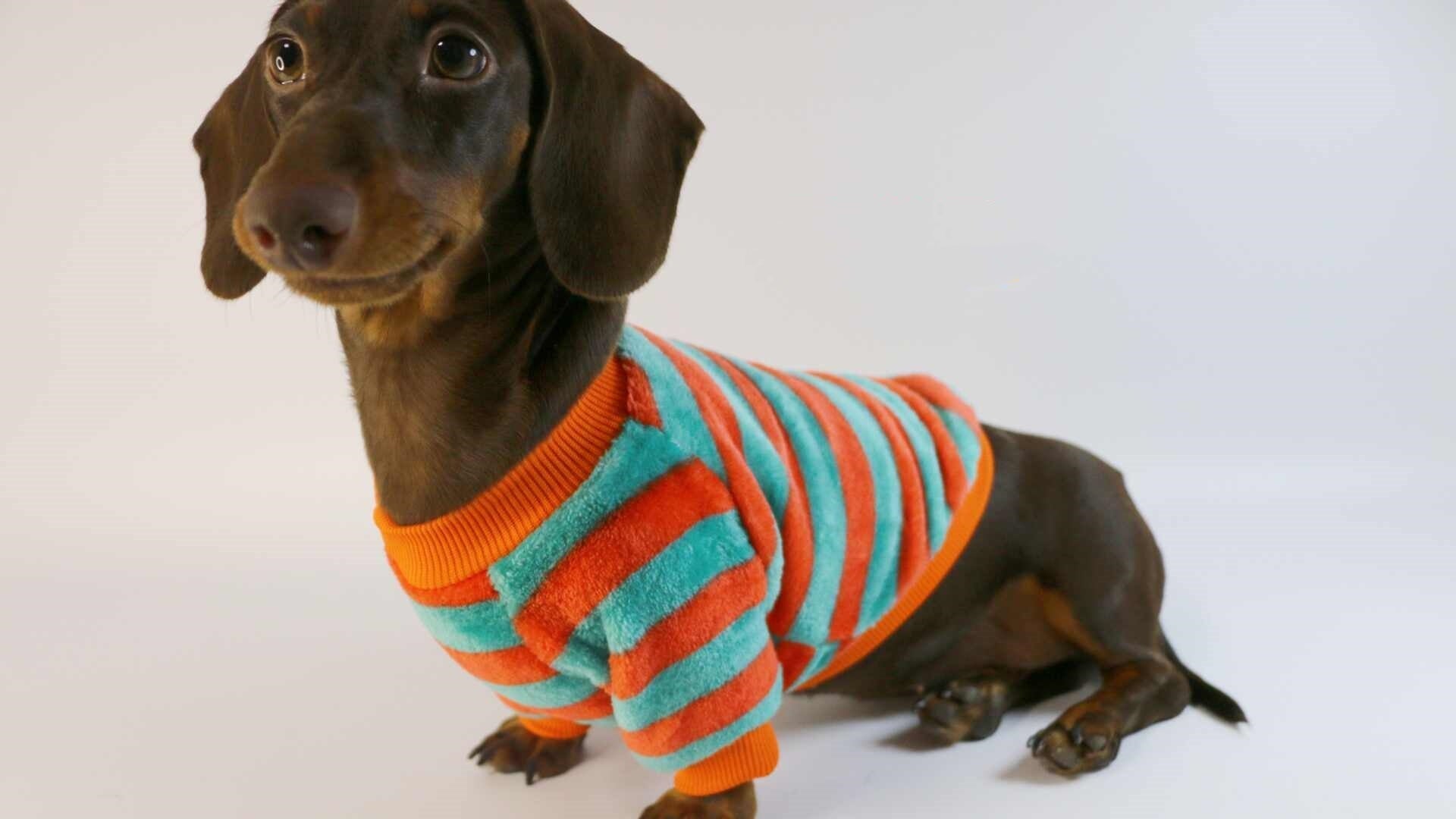 HKM-2386621 Casual Round Neck Sweatshirt for Pets - Warm Orange Red and White Stripes or Green Stripe