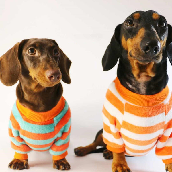 HKM-2386621 Casual Round Neck Sweatshirt for Pets - Warm Orange Red and White Stripes or Green Stripe