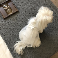 HKM-2387901 Princess Style Korean White Cotton Dog Skirt for XS to L Sizes