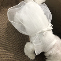HKM-2387901 Princess Style Korean White Cotton Dog Skirt for XS to L Sizes